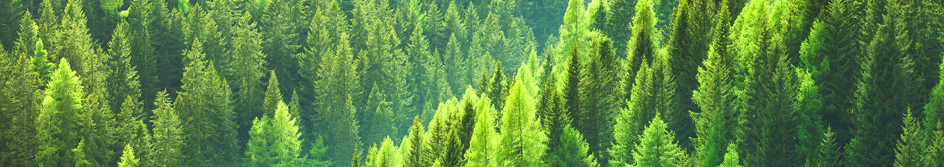 First image for environmental page