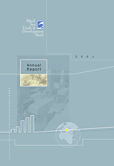 Annual Report 2002