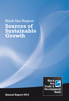 Annual Report 2013
