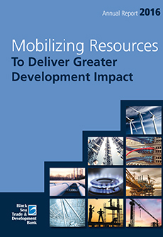 Annual Report 2017