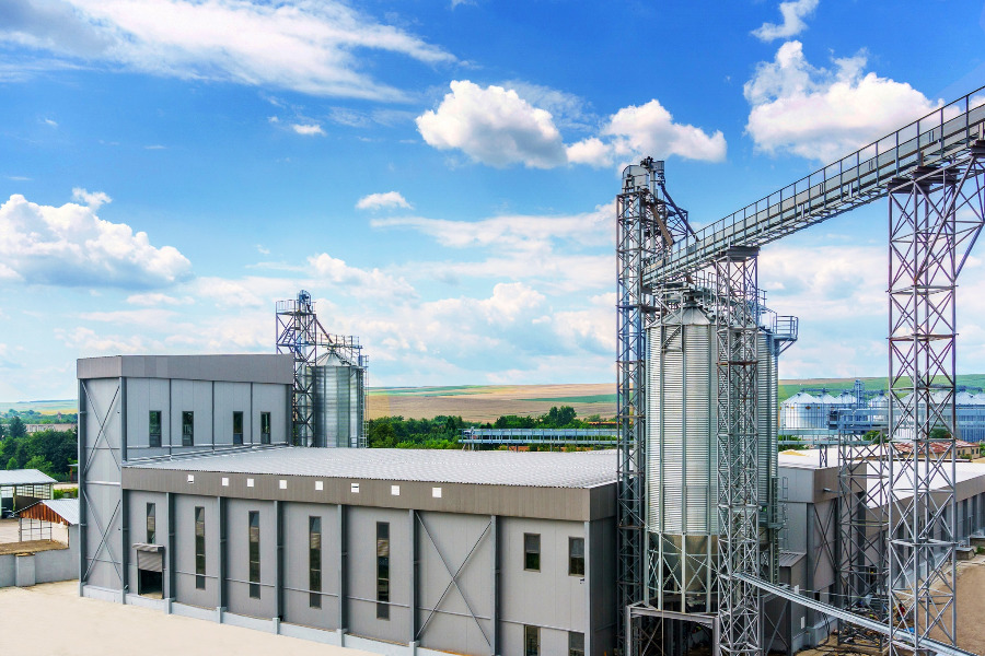 oliva_20bg.jpg